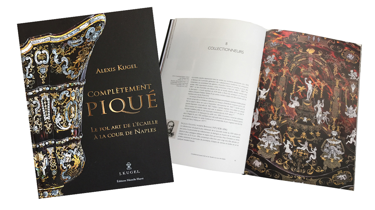 Signatures Singulières Magazine. Livre Complètement Piqué, paru aux Edtions Monelle Hayot.