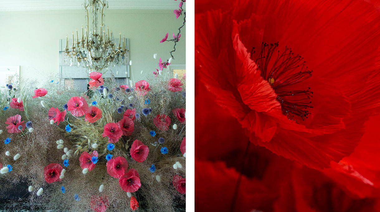william amor - créateur upcycleur de fleurs artificielles - atelier créations messagères - Artiste plasticien - sacs plastiques recyclés - bouteille plastique recyclées - coquelicot - Kenzo - savoir-faire français - Singulières - Magazine digital des talents Français