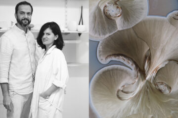 atelier ombre d'or - atelier de porcelaine